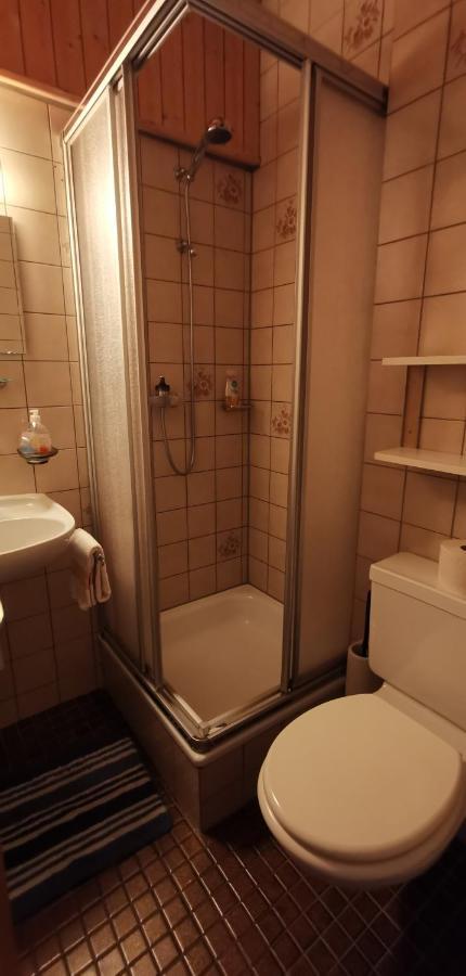 B&B Pension Laerch Obergesteln Luaran gambar